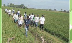 Assist-Annual-Report-2017