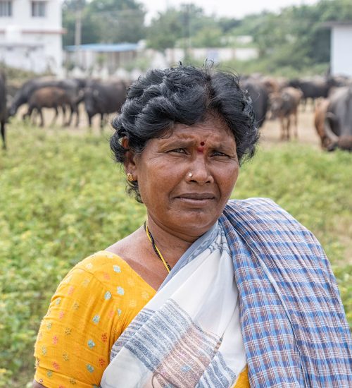 Bollapalli-Rural-Life13