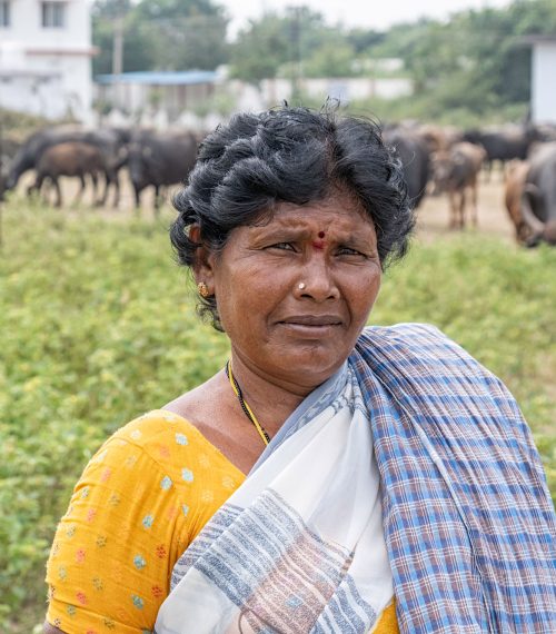 Bollapalli-Rural-Life13