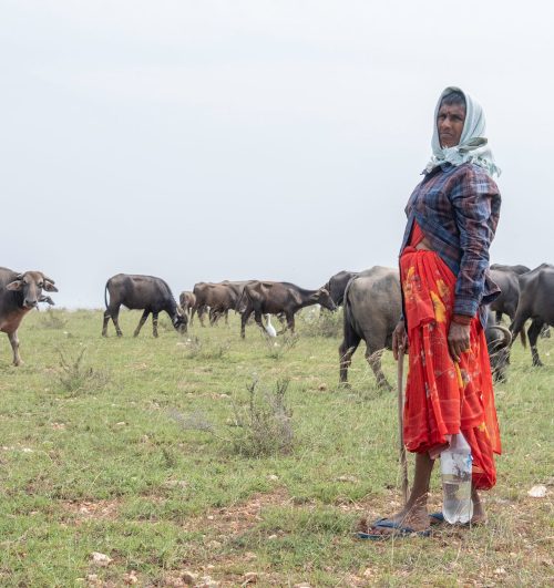 Markapur-Agriculture27